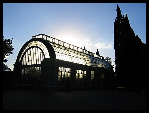Winter garden
